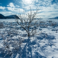 Vinterland Vesterålen – fotokurs ved storhavet. ©Bjørn Joachimsen.